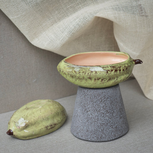 Salseros cacao