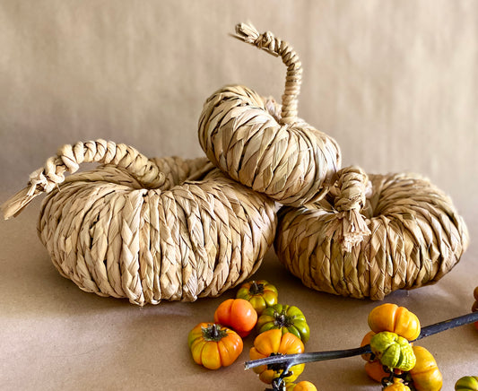 Set de calabazas de Lirio